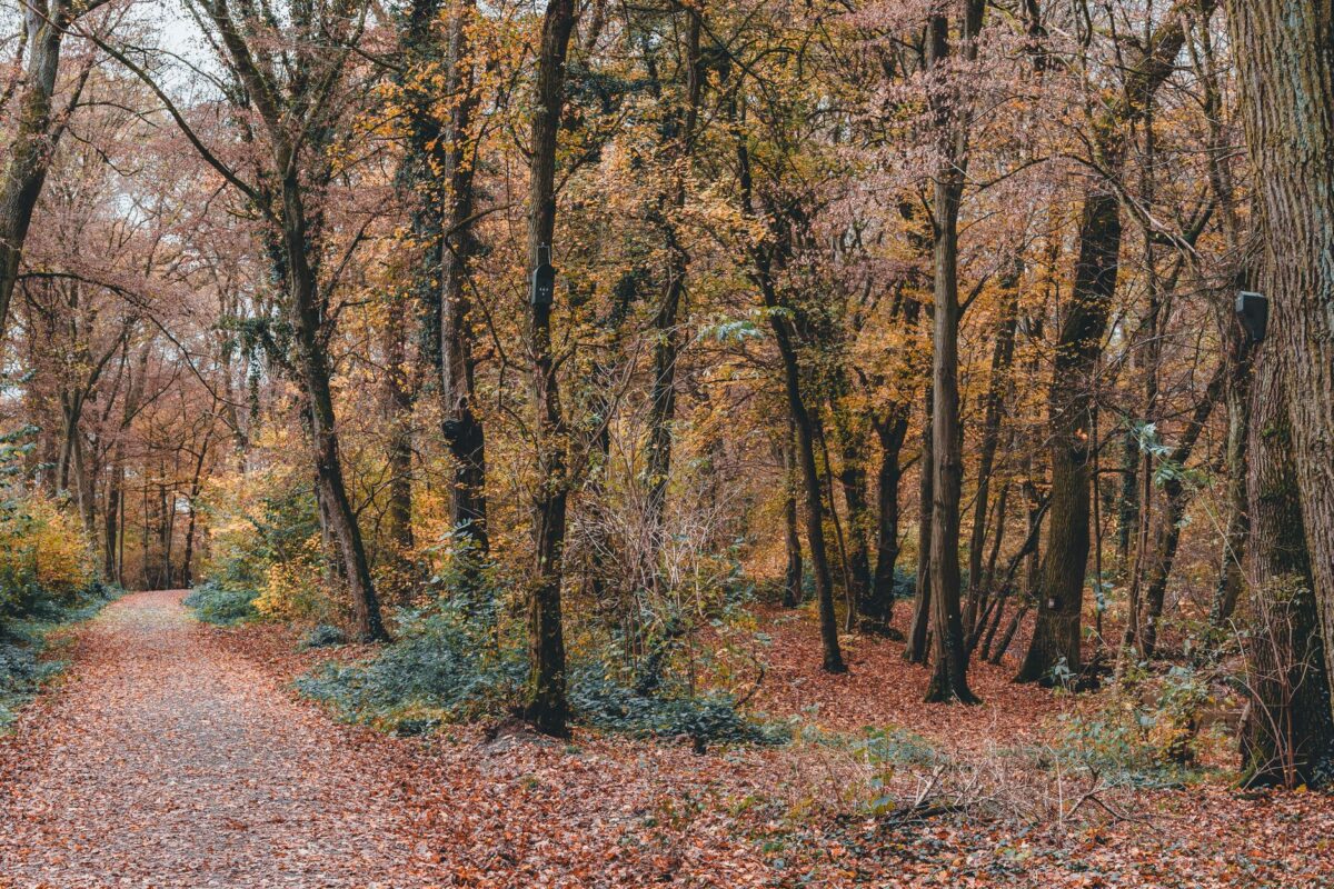 prismana semaine octobre parcours suivre
